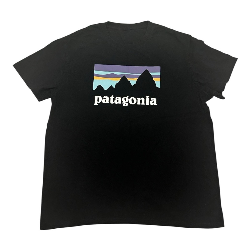 Patagonia T-Shirt SIZE LARGE